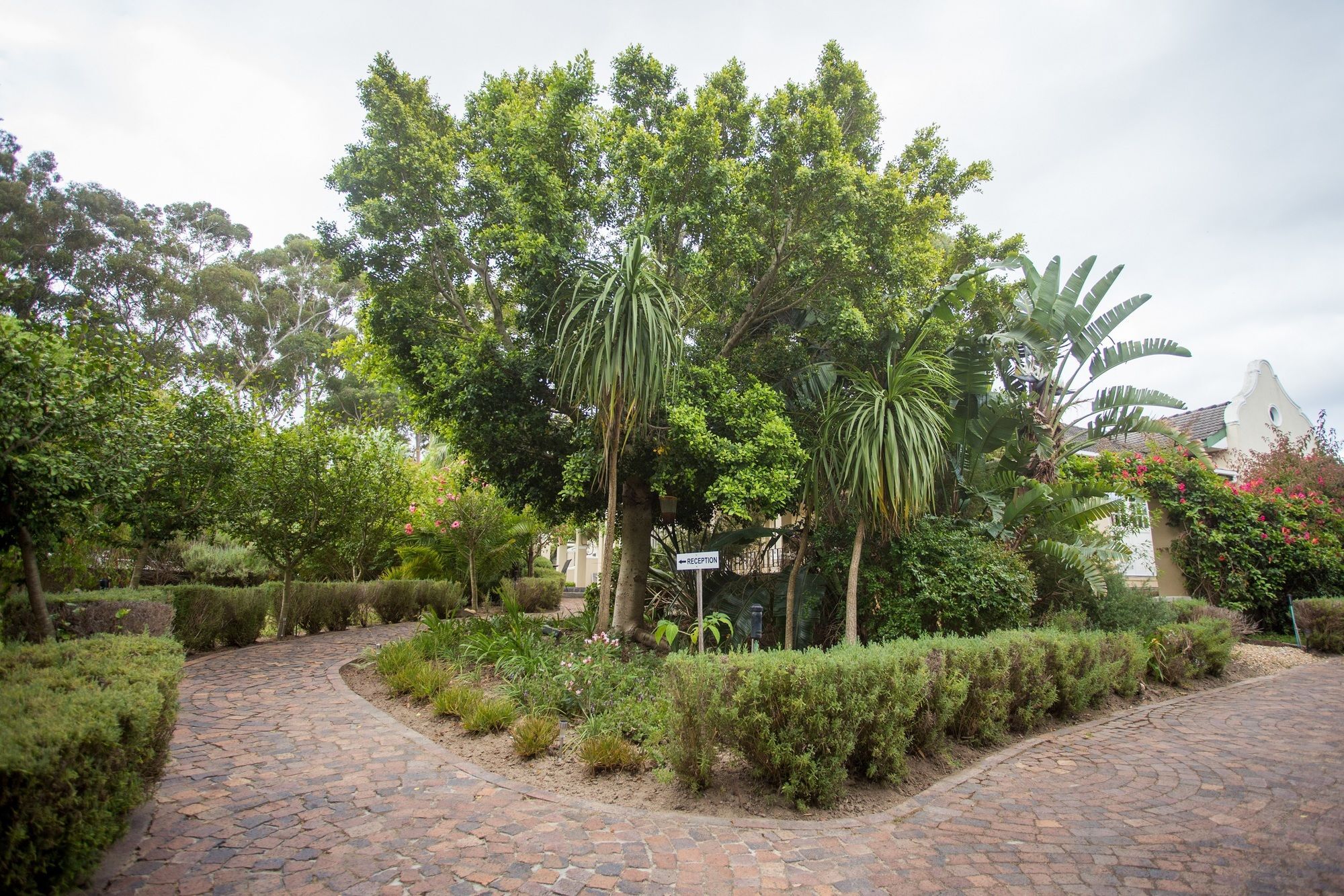 Somerset Villa Guesthouse 西萨默塞特 外观 照片